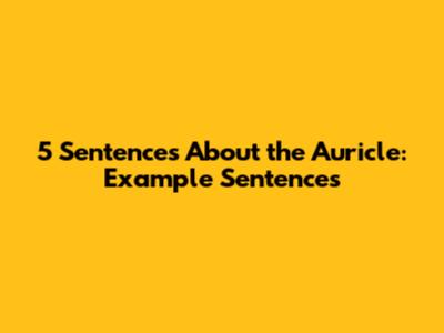5 Sentences About the Auricle: Example Sentences