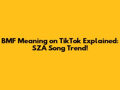 BMF Meaning on TikTok Explained: SZA Song Trend!