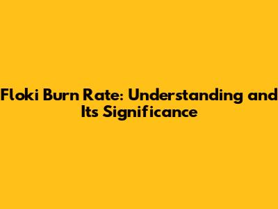 Floki Burn Rate: Understanding and Its Significance