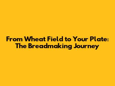 From Wheat Field to Your Plate: The Breadmaking Journey