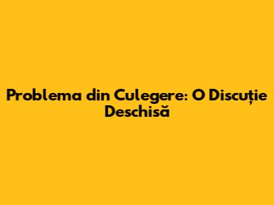 Problema din Culegere: O Discuție Deschisă