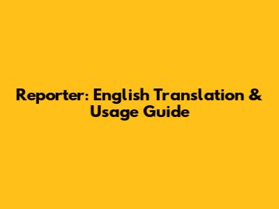 Reporter: English Translation & Usage Guide