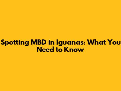 Spotting MBD in Iguanas: What You Need to Know