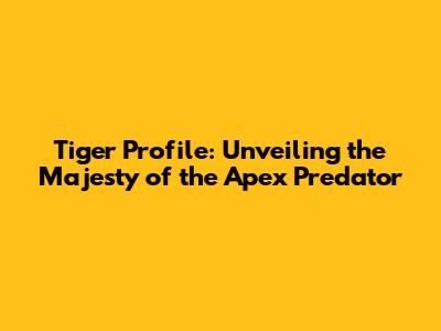 Tiger Profile: Unveiling the Majesty of the Apex Predator