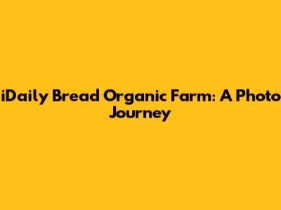iDaily Bread Organic Farm: A Photo Journey